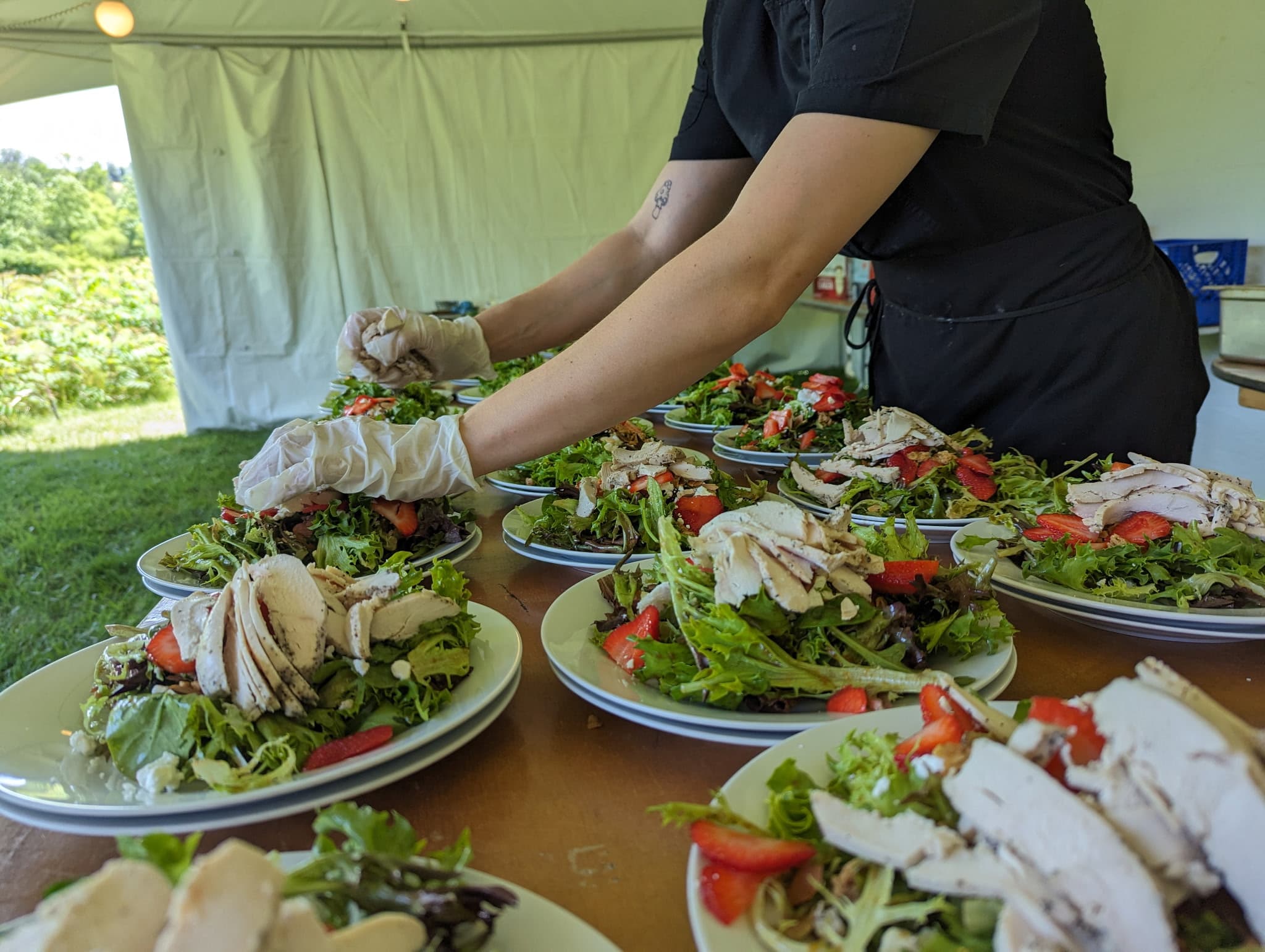 Professional Catering Setup